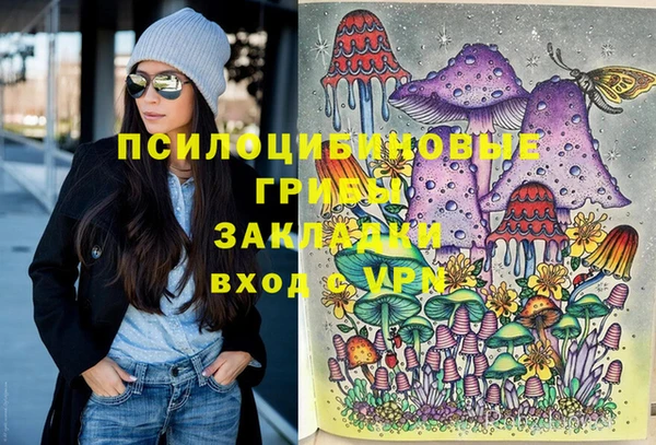 дурь Алексеевка