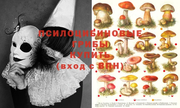 винт Алексин