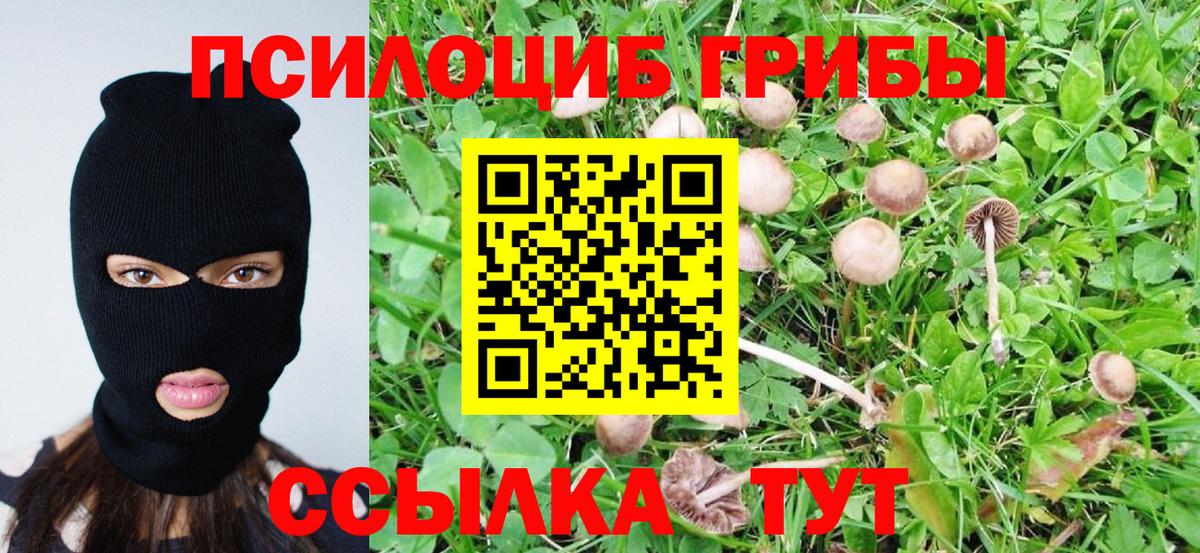 Псилоцибиновые грибы мицелий Апрелевка