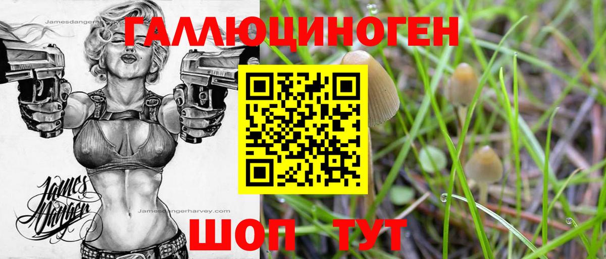 Псилоцибиновые грибы Psilocybine cubensis  Вход с VPN  Псилоцибиновые грибы Psilocybe  Апрелевка 